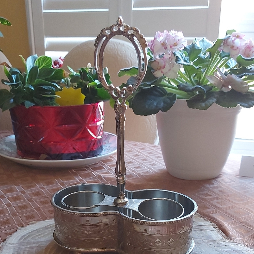 Elegant Silver Metal Caddy